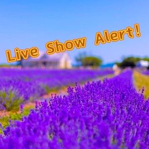 Hi!This is my live show notification listing📣